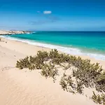 Home2book Breezy Palm View Duplex With Pool شقة *