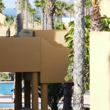 Vista Palmera * コラレホ
