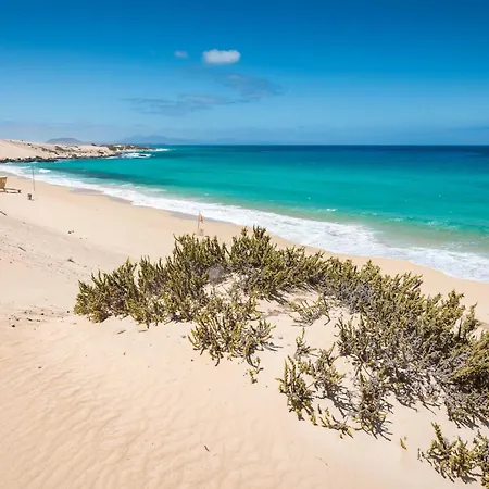 Home2book Breezy Palm View Duplex With Pool Apartamento *