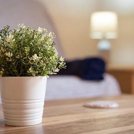 Home2book Breezy Palm View Duplex With Pool Apartamento Corralejo