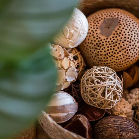 Home2book Breezy Palm View Duplex With Pool Apartamento Corralejo