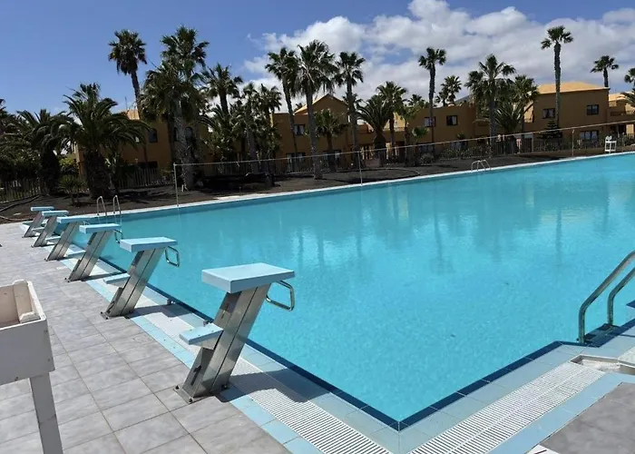 Apartament Home2book Breezy Palm View Duplex With Pool