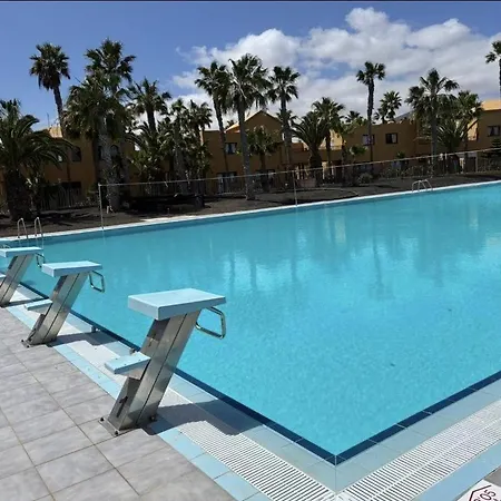 דירה Home2book Breezy Palm View Duplex With Pool