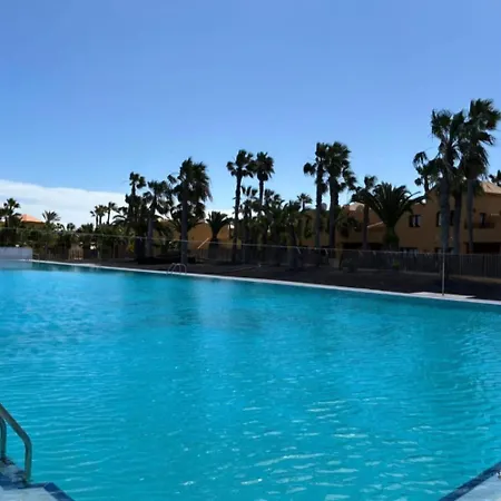 Home2book Breezy Palm View Duplex With Pool דירה קורלחו