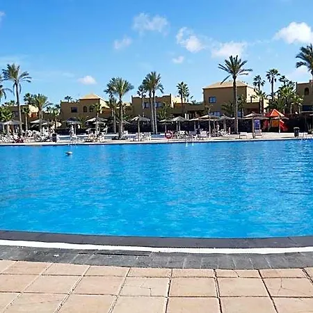 Home2book Breezy Palm View Duplex With Pool كوراليهو