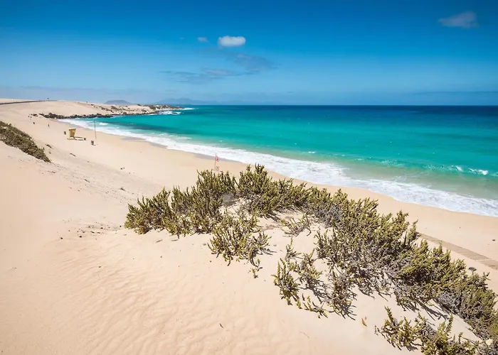 Home2book Breezy Palm View Duplex With Pool Apartamento *