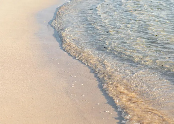 Home2book Breezy Palm View Duplex With Pool Apartamento *