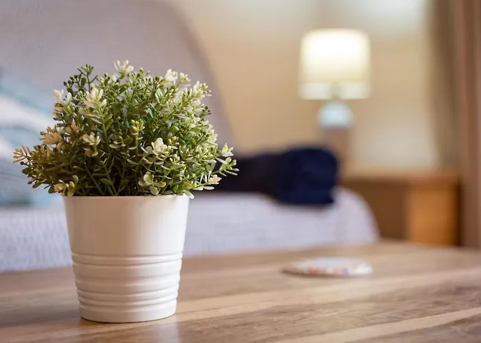 Home2book Breezy Palm View Duplex With Pool דירה קורלחו