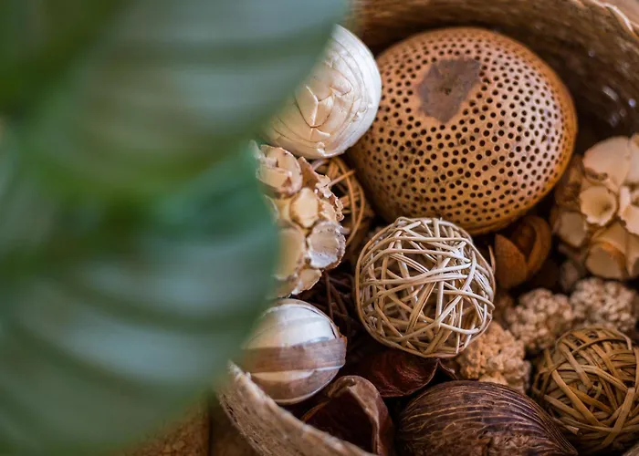 Home2book Breezy Palm View Duplex With Pool דירה קורלחו