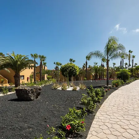 Daire Home2book Breezy Palm View Duplex With Pool Corralejo